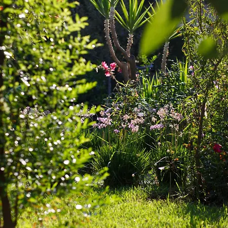 Kivanc 酒店 博德鲁姆