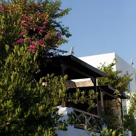 Kivanc