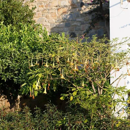 호텔 Kivanc Bodrum