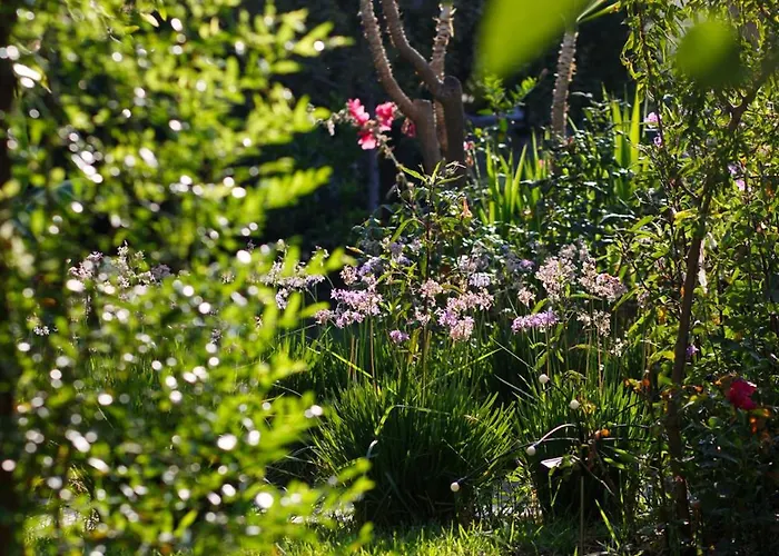 Kıvanç Otel Bodrum