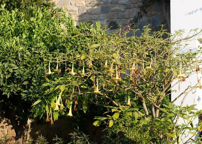 Hotel Kıvanç Bodrum